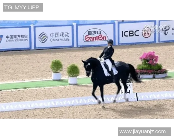 上海极限运动队荣登全国排行榜第十名展现实力与激情 上海极限运动队荣登全国排行榜第十名展现实力与激情