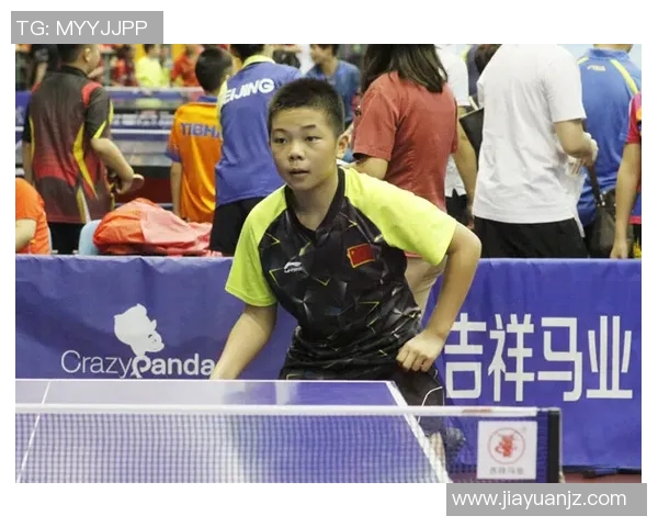 上海乒乓球队的节奏与风采探秘乒乓球运动的魅力与发展之路 上海乒乓球队的节奏与风采探秘乒乓球运动的魅力与发展之路