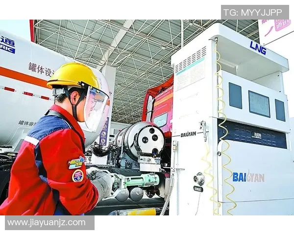 专业解析LNG市场的盯防策略与应对措施探讨 专业解析LNG市场的盯防策略与应对措施探讨